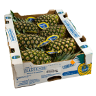 Golden pineapples