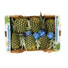 Golden pineapples