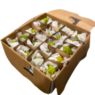 Starfruits