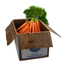 Carrots with stem