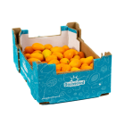 Kumquats