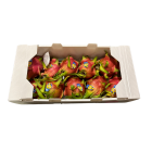 Red dragon fruits