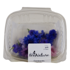 Blue cornflower flowers