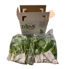 Basil for processing