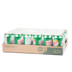 Ginger Ale (can)
