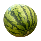 Yellow watermelons