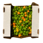 Yellow Scotch Bonnet peppers