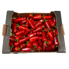 Red jalapeno peppers