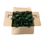 Poblano peppers