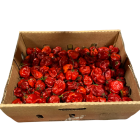 Red Scotch Bonnet peppers