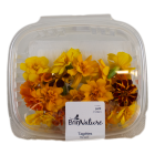 Marigold flowers