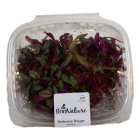 Red beet shoots
