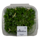 Arugula shoots