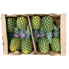 Organic Golden Pineapple mx