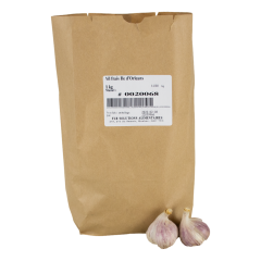 Garlic