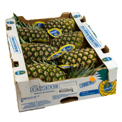 Golden pineapples