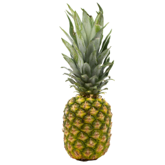 Golden pineapples