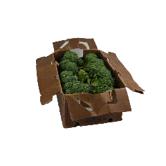 Broccolini