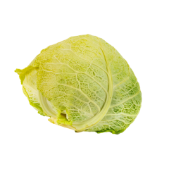 Savoy cabbages