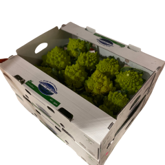 Romanesco broccolis