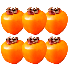 Persimmons
