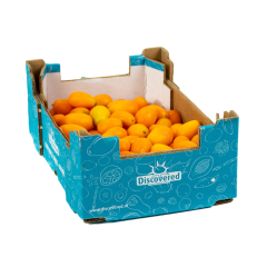 Kumquats