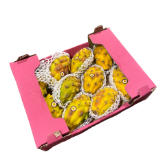 Dragon fruits