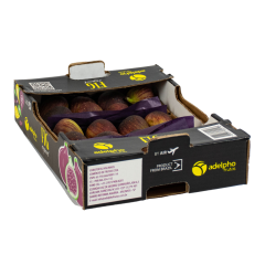 Figs