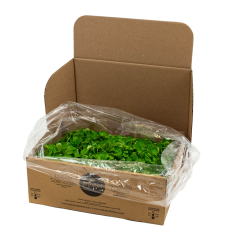 Live mâche lettuces