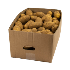 Russet potatoes size 100