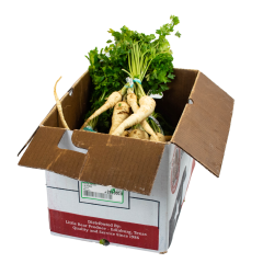 Parsley roots