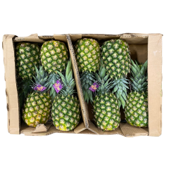 Organic Golden Pineapple mx