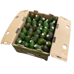 Organic avocados