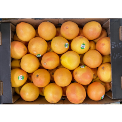 Organic pink grapefruits