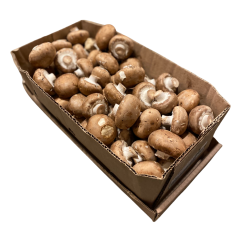 Organic cremini mushrooms