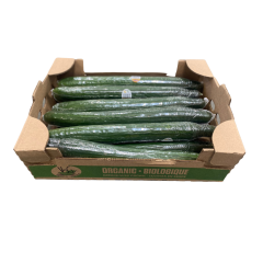 Organic english cucumbers #2