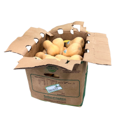Organic butternut squashes