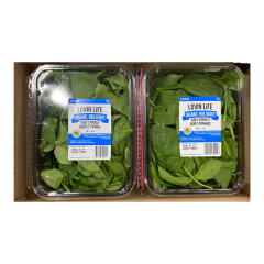 Organic baby spinach