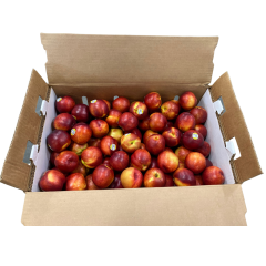 Organic nectarines