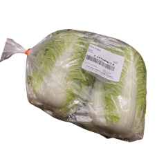 Napa cabbages